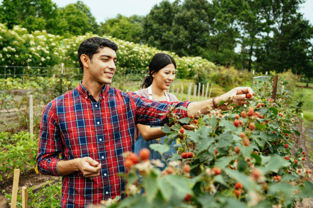 URGENT: Fruit Farm Worker Job in Canada With Visa Sponsorship